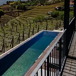 Hotel Quinta De Santa Cruz - Douro Land Peso da Regua