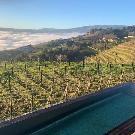 Casa Da Quinta De Santa Cruz - Douro Valley - By Met * Peso da Régua