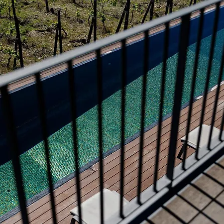 Casa Da Quinta De Santa Cruz - Douro Valley - By Rowdhouses Hotel *