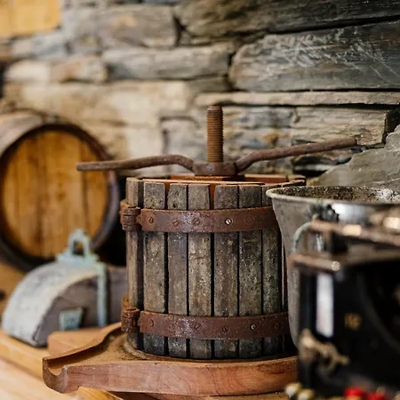 Casa Da Quinta De Santa Cruz - Douro Valley - By Rowdhouses Hotel Peso da Régua