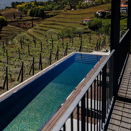 Hotel Casa Da Quinta De Santa Cruz - Douro Valley - By Rowdhouses Peso da Régua
