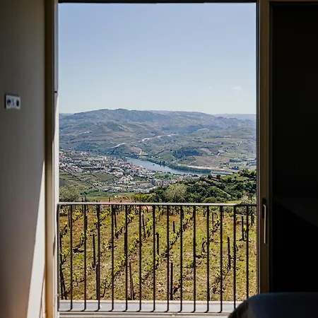 Casa Da Quinta De Santa Cruz - Douro Valley - By Rowdhouses Ξενοδοχείο Peso da Régua