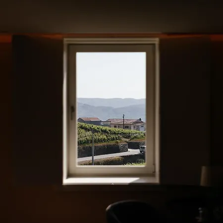 Casas Da Quinta De Santa Cruz - Douro Land * Peso da Régua