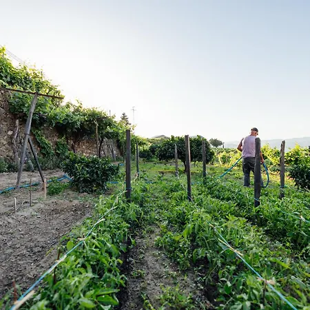 Casas Da Quinta De Santa Cruz - Douro Land