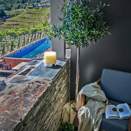 Hotel Casa Da Quinta De Santa Cruz - Douro Valley - By Met Peso da Régua