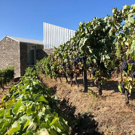 Casa Da Quinta De Santa Cruz - Douro Valley - By Met Hotel