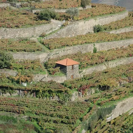 Casa Da Quinta De Santa Cruz - Douro Valley - By Met