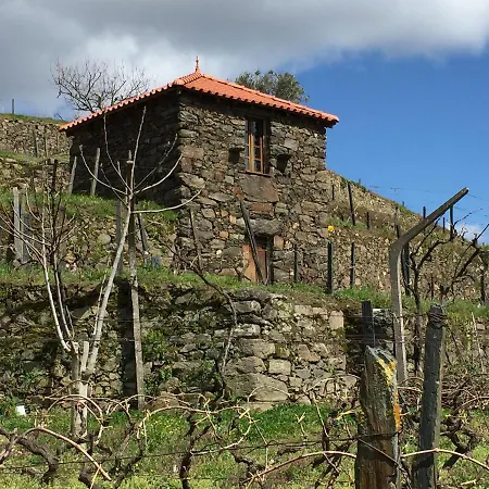 Casa Da Quinta De Santa Cruz - Douro Valley - By Met