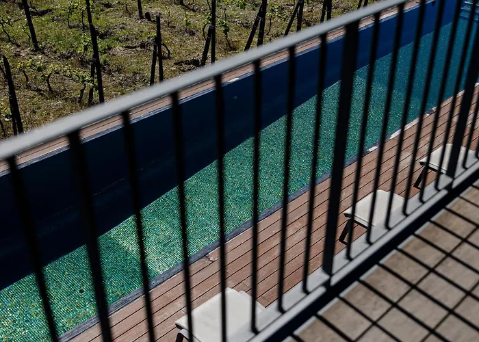 Quinta De Santa Cruz - Douro Land Hotel *