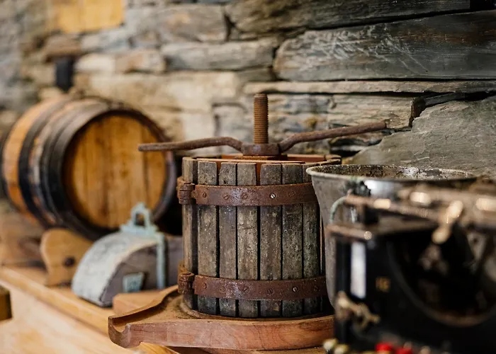 Quinta De Santa Cruz - Douro Land Hotel Peso da Régua