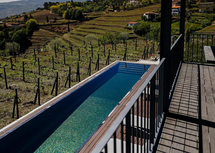 酒店 Quinta De Santa Cruz - Douro Land 比索达雷加