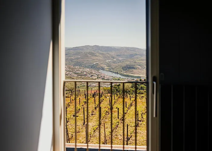 Quinta De Santa Cruz - Douro Land * Peso da Régua