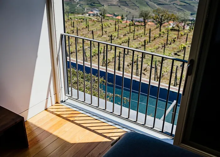 酒店 Quinta De Santa Cruz - Douro Land