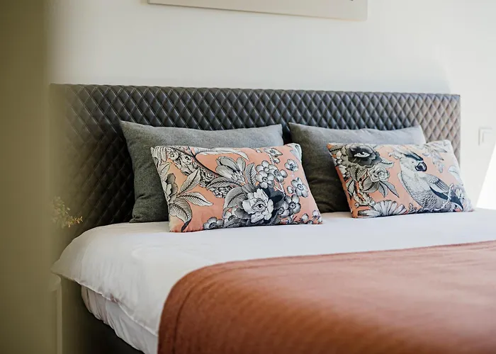 酒店 Quinta De Santa Cruz - Douro Land 比索达雷加