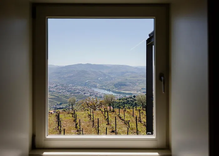 Quinta De Santa Cruz - Douro Land *