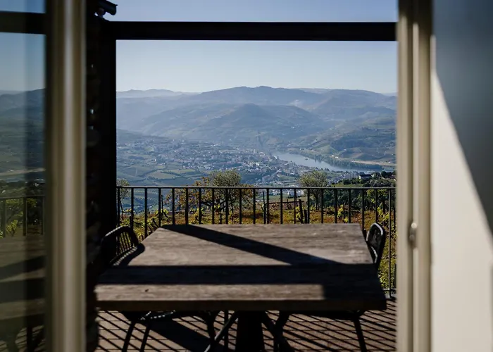 酒店 Quinta De Santa Cruz - Douro Land 比索达雷加