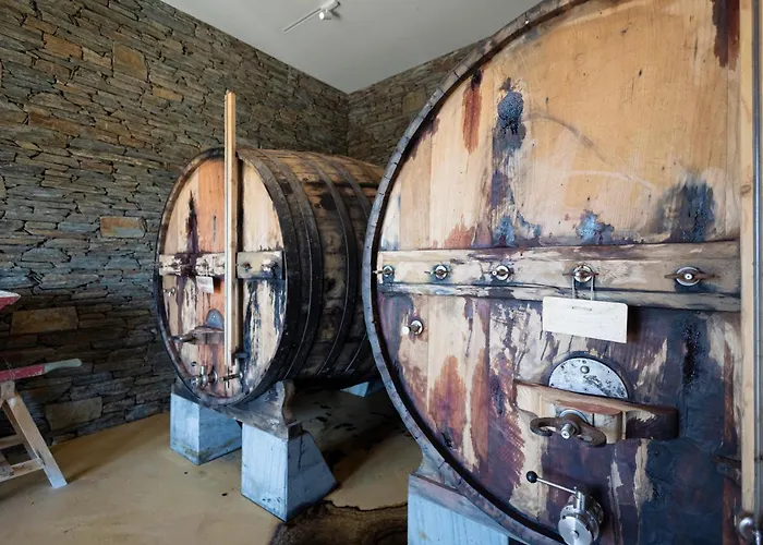 Quinta De Santa Cruz - Douro Land 比索达雷加