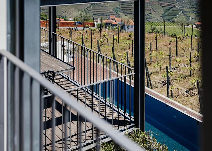 酒店 Quinta De Santa Cruz - Douro Land