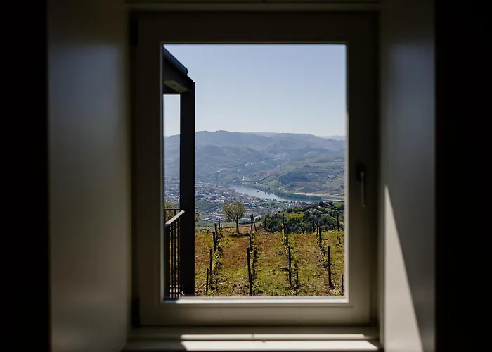 Quinta De Santa Cruz - Douro Land * Peso da Régua