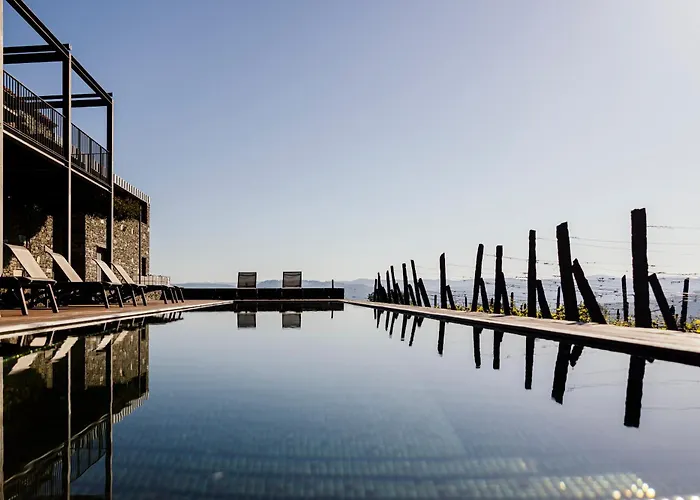 Quinta De Santa Cruz - Douro Land 比索达雷加